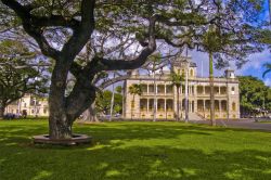 Giardini della Corte Suprema delle Hawaii, a Honolulu  - © Gary Gilardi / Shutterstock.com