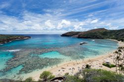 Hanauma bay isole Hawaii. E' considerata uno dei paradisi dello snorkeling a Oahu. La stretta imboccatura assicura protezione dalle correnti oceaniche, e mantiene al largo i gradi predatori ...