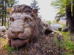 Ifrane, Marocco: una delle attrattive di ifrane è una testa di leone scolpita nella roccia, in un bosco di cedri in città. Ifrane si trova nel Medio Atlante - © Karol Kozlowski ...