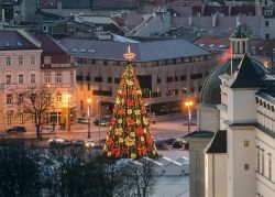 Il grande albero di Natale a Vilnius, la capitale della Lituania  - © krivinis / Shutterstock.com