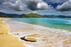 Il mare e una spiaggia selvaggia del Parco nazionale Abel Tasman in Nuova Zelanda - © Pichugin Dmitry / Shutterstock.com