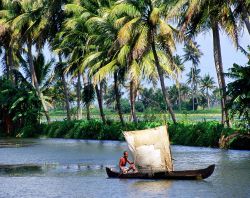 Kerala le lagune backwaters India - Foto di Giulio Badini