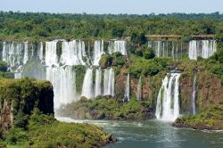 Le cascate di Iguassu sono tra le piu spettacolari del mondo, qui le osserviamo dal versante brasiliano - © Eduardo Rivero / Shutterstock.com