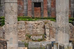 Le colonne del Tempio del Serapide, con i segni del mare e dei mitili