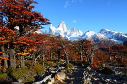 Los Glaciares National Park, sullo sfondo il Monte Fitzroy. Il parco si raggiunge dalla località di El Calafate in Argentina. Queste cime granitiche, come ad esempio quella del Cerro ...