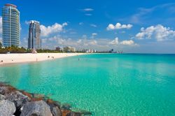 Miami Beach: sembra di essere ai Caraibi - che infatti non sono molto lontani - ma ci troviamo a South Beach, nella parte meridionale della città di Miami Beach, in Florida USA -  Foto© ...