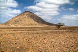 Paesaggio a Capo Verde: un albero solitario ed una montagna spoglia - © powell'sPoint / Shutterstock.com