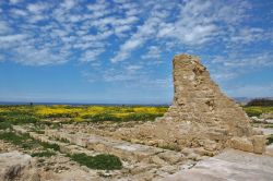 Il parco archeologico di Kato Paphos (Cipro), dichiarato dall'UNESCO Patrimonio dell'Umanità nel 1980, include resti preistorici, monumenti di età classica e costruzioni ...