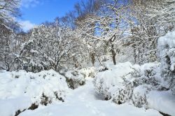 Passeggiata dopo una forte nevicata a Prospect Park, New York City, Stati Uniti. Una veduta panoramica di questo bel parco pubblico di 237 ettari situato nel borough di Brooklyn - © ...