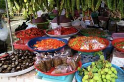 Spezie, frutta e ortaggi sono i prodotti che vanno per la maggiore nel mercato di Phuket. Profumati e coloratissimi, trasformano le bancarelle in tavolozze vivaci e fare compere diventa ...