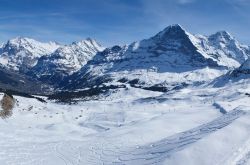 Pista da sci a Wengen, una delle più blasonate stazioni sciistiche delle Alpi Svizzere - © eFesenko / Shutterstock.com