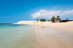 Praia de Chaves: il mare cristallino di Boa Vista, una delle isole più belle di Capo Verde per chi cerca spiagge tropicali e tanto sole - © Samuel Borges Photography / Shutterstock.com ...