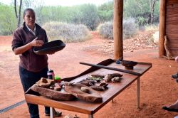 Ranger aborigeno spiega il cibo del deserto - Ci troviamo  presso il Desert Park di Alice Springs, dove sono spiegati gli ambienti tipici del Red Centre dell'Australia