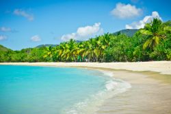 Una lunga spiaggia bianca a Tortola,  Isole Vergini Britanniche - © mffoto / Shutterstock.com
