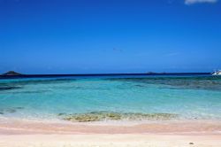 Savannah Bay - La più bella spiaggia di Virgin Gorda. Situata sulla parte del Mar dei Caraibi è caratterizzata da acque cristalline e sabbia rosa. Location perfetta anche per snorkeling. ...