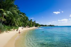 Una Spiaggia da sogno a Barbados: come regola generale le spiage occidentali sono con mare più calmo rispetto a quelle occidentali - Fonte: Barbados Tourism Authority