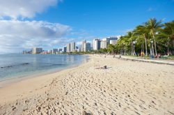Spiaggia nel centro di Honolulu. Waikiki beach è una delle spiagge più famose delle Hawaii, molto amata fagli appssionari di surf, ma anche adatta al nuoto - © Dhoxax / Shutterstock.com ...