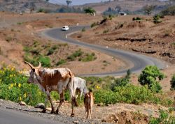 Strada per Gondar,  Etiopia