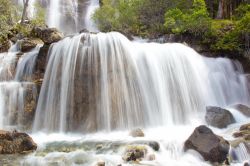 Le cascate Tangle Falls, all'interno del Jasper National Park canadese, scorrono impetuose tra la vegetazione alta e fitta del parco  - © e X p o s e / Shutterstock.com