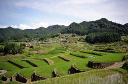 Hasami sorge nei pressi di Nagasaki, in Giappone. Sono affascinanti le sue risaie a terrazzamenti, dalle linee sinuose e il verde brillante - © TOMO / Shutterstock.com