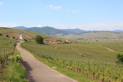 Strada del vino in Alsazia, Francia - E' conosciuta e apprezzata in tutto il mondo per la sua bellezza, soprattutto nei mesi primaverili e autunnali, e per gli ottimi vini prodotti. Da nord ...