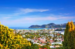 Veduta panoramica di Wellington, capitale della Nuova Zelanda, situata nella punta sud-occidentale dell'Isola del Nord... non è solo la capitale "più meridionale" ...