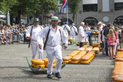 Alkmaar, il  tradizionale mercato del formaggio - Non si tratta solo di un prodotto culinario bensì di un elemento della gastronomia che ha permesso la nascita di un mercato specifico ...
