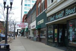 Attività commerciali e negozi nel centro di Lansing, Michigan (USA). E' la quinta più grande città dello stato - © Frank Romeo / Shutterstock.com