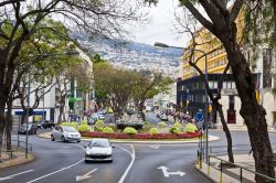 Avenida Arriaga, nel centro di Funchal, capoluogo dell'arcipelago di Madeira (Portogallo) - foto © katatonia82 / Shutterstock.com