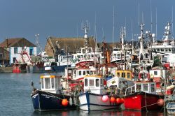 Barche di Pescatori nella baia di Howth in Irlanda  - © pgaborphotos / Shutterstock.com