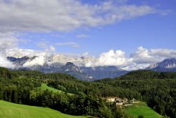 Boschi e pascoli intorno a Renon Alto Adige- © Matteo Festi / Shutterstock.com