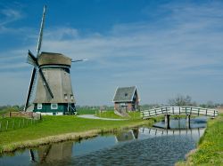 Mulini a vento delle campagne di Alkmaar (Paesi Bassi) - Il buon Don Chisciotte, quando combatteva con i mulini a vento, probabilmente era ignaro del fascino che posso costituire questi mezzi. ...