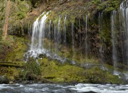 Cascate di Mossbrae a Sacramento, nord California - Alte circa 16 metri e larghe poco più di 50, queste cascate alimentate da sorgenti cadono lungo le pareti del canyon e nel fiume Sacramento ...