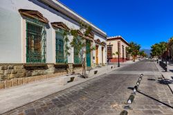 Centro storico di Oaxaca de Juarez, capitale dello stato messicano di Oaxaca. Patrimonio dell'Umanità dell'Unesco, questa località è ricca di storia e cultura.



 ...