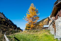 Chalets a Miage in autunno, Saint-Gervais-les-Bains (Chamonix), Francia.

