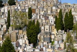 Il cimitero comunale di Enna, Sicilia - Il cimitero comunale di Enna è situato nel territorio di quello che un tempo era il Convento dei Frati Cappuccini. La particolarità ...