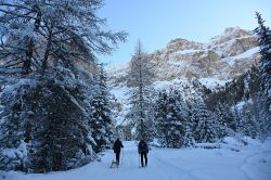 Escursione a Plan de Gralba vicino a Selva di Val Gardena in Alto Adige - © Foto S. Vietto Ramus e Massimo Valentini