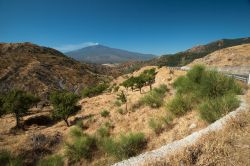 Escursione da Bronte sul vulcano Etna in Sicilia