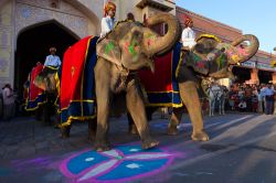 Festival degli elefanti a Jaipur in India - © ostill / Shutterstock.com