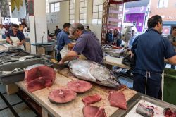 Funchal, Madeira: lavoratori del mercato del pesce nel Mercado dos Lavradores, nel centro del capoluogo - foto © hopsalka / Shutterstock.com