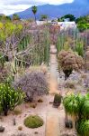Il Giardino Etnobotanico di Oaxaca (Messico) si trova nel complesso del convento di Santo Domingo.