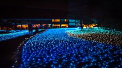 L'Happiness Corridor Nara Rurie by night (Giappone): si tratta di un evento con illuminazione notturna che collega santuario e templi rappresentativi della città di Nara - © ...