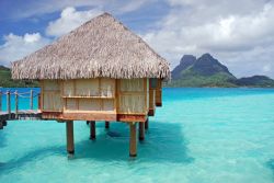 A Bora Bora, nell'arcipelago polinesiano delle Isole della Società, non è difficile creare magnifici hotel di lusso: basta piazzare qualche capanna sul mare paradisiaco e il ...