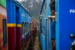 I vagoni colorati di due treni nei pressi della città di Colombo, Sri Lanka.
