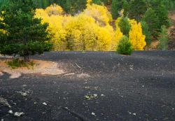 Il contrasto della lava del vulcano Etna con gli alberi in autunno, versante di Bronte