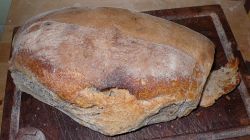 Il famoso pane di Lariano viene celebrato ogni anno con la Sagra della Bruschetta - Foto Davidegino - Wikipedia