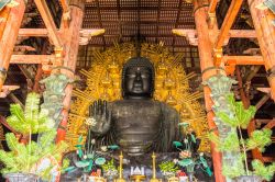 Il Grande Buddha (Daibutsu-Den) al Todai-ji Temple di Nara, Giappone.
