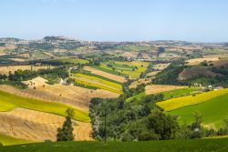 Il paesaggio estivo delle colline intorno a Fermo, nelle Marche.