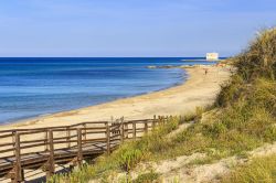 Il parco delle dune costiere l'area protetta di Torre Canne in Puglia
