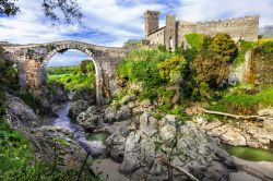 Il ponte ed il Castello di Vulci vicino a Canino nel Lazio